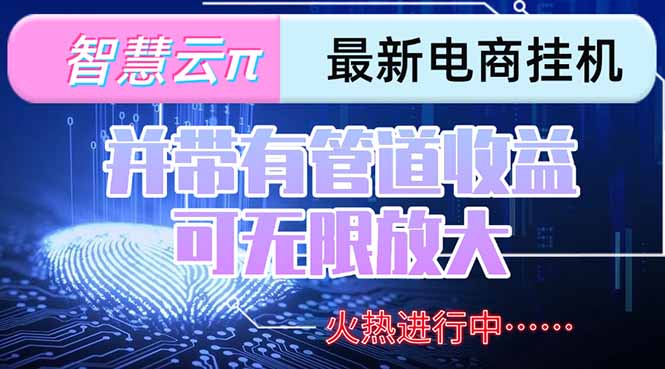智慧云π电脑挂机单机每天收益300—500+ 并带有团队管道收益 可无限放大-天行资源库