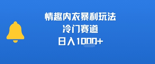 情趣内衣暴利玩法，冷门赛道，日入1k+-天行资源库