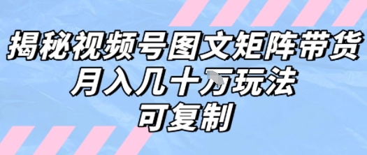 解密视频号图文矩阵带货，月入几个W的打法，可复制-天行资源库