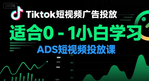 Tiktok短视频广告投放，适合0-1小白学习ADS短视频投放课-天行资源库