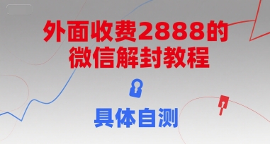 外面收费2888的微信解封教程，具体自测-天行资源库