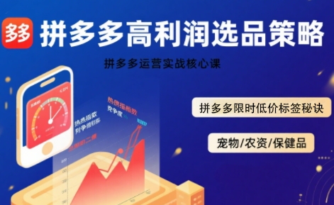 拼多多选品暴利技术实战课，拼多多高利润选品策略，拼多多限时低价标签秘诀-天行资源库