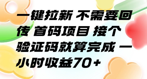 一键拉新 不需要回传 首码项目 接个验证码就算完成 一小时收益70+【揭秘】-天行资源库