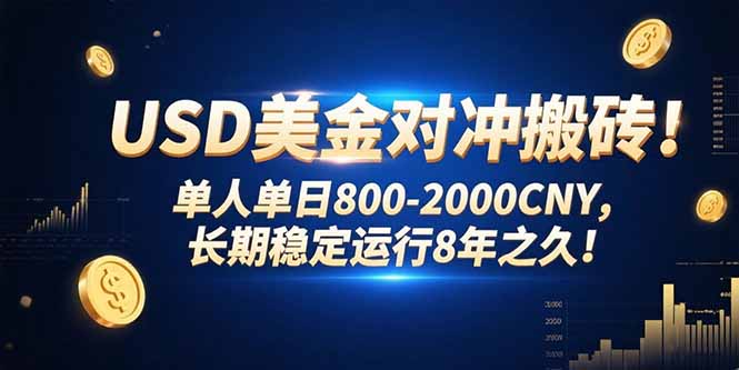 USD美金对冲搬砖!单人单日800-2000CNY，长期稳定运行8年之久!-天行资源库